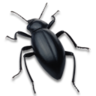 Bug in security update